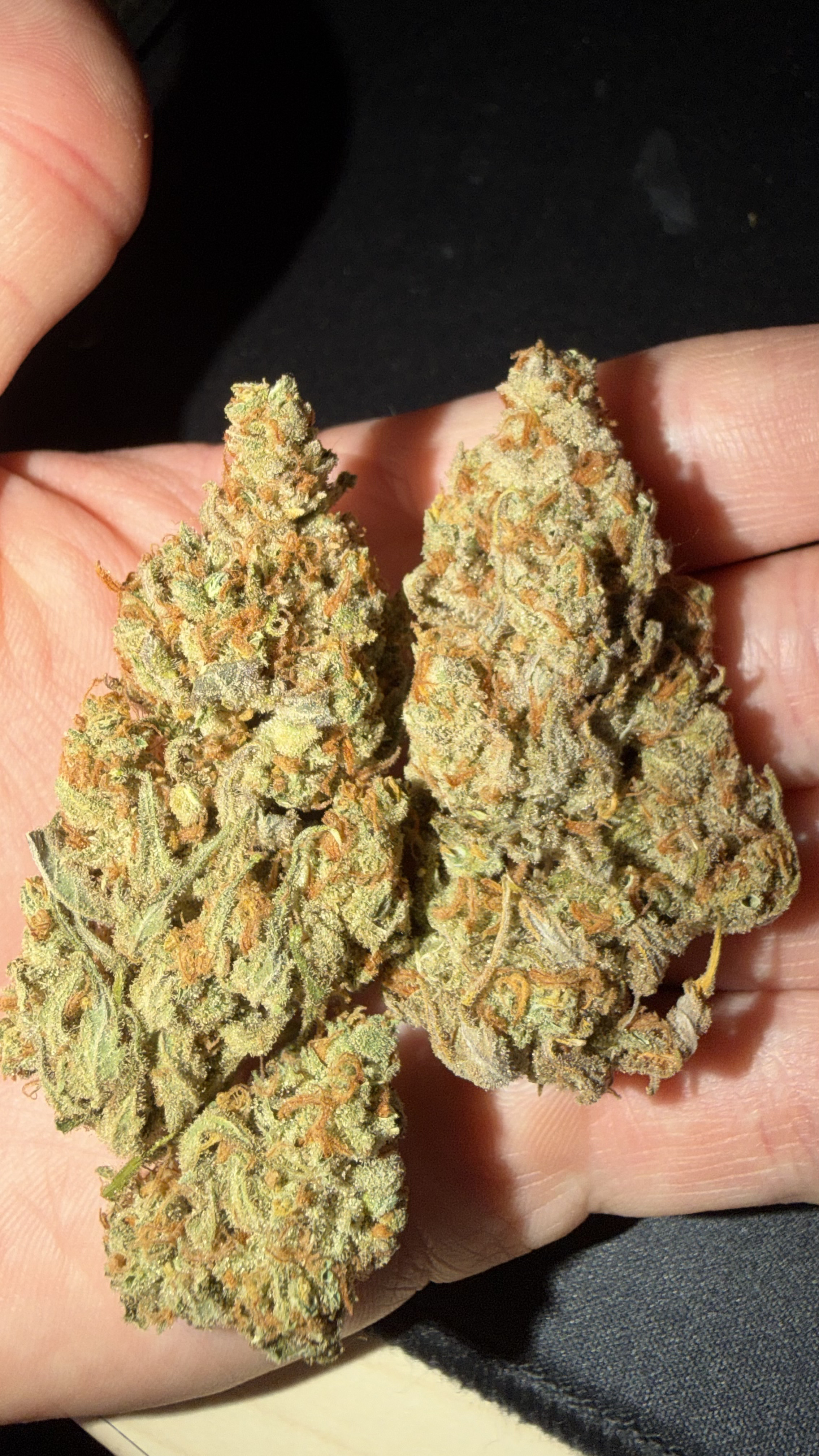 Forbidden Fruit Erfahrungsbericht Bild 3