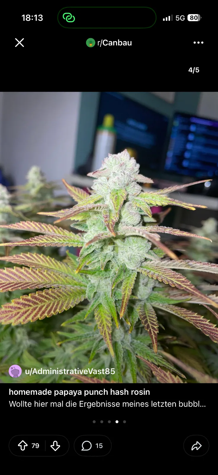 Oreoz Erfahrungsbericht Vorschaubild