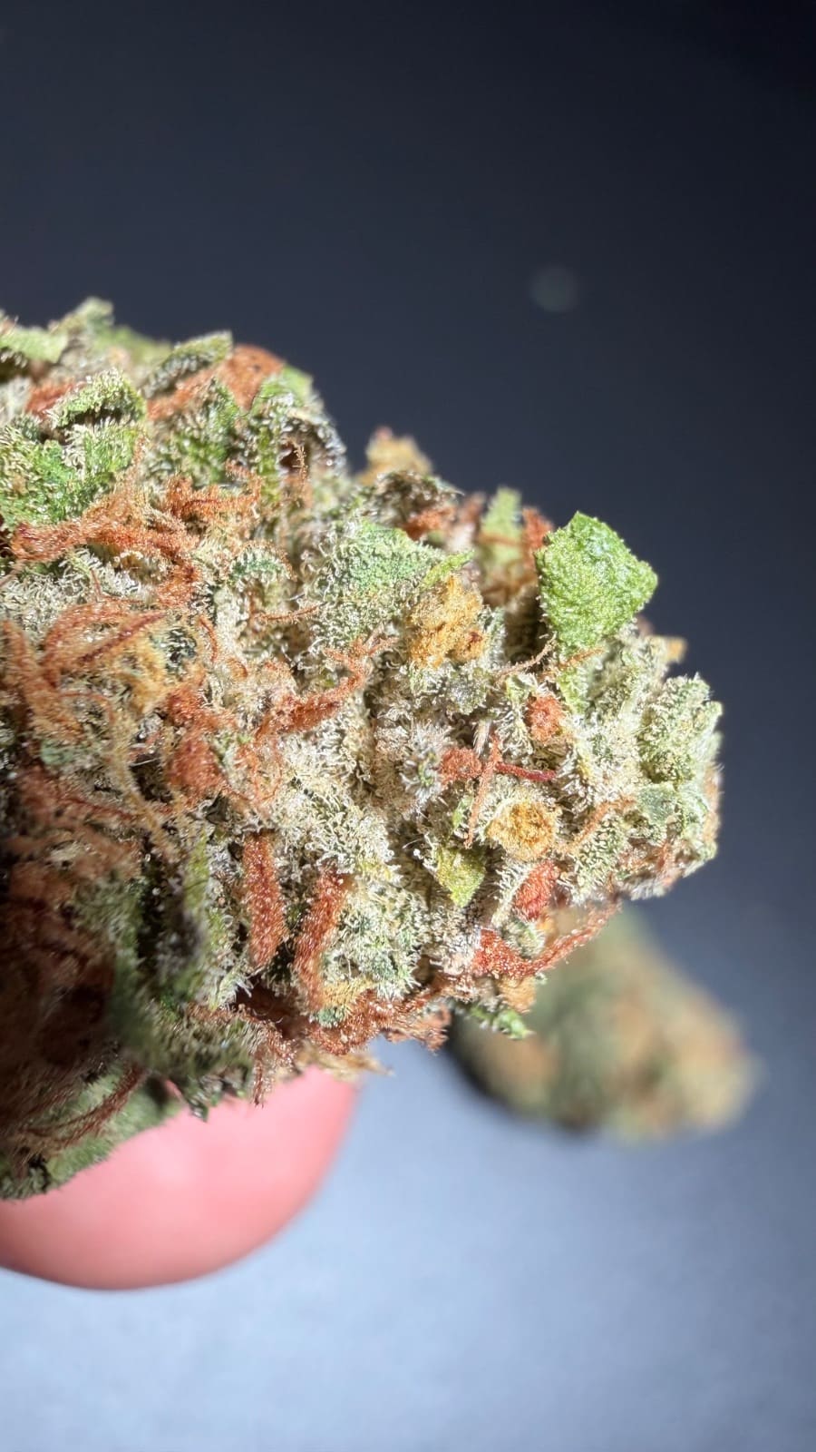 Wedding Cake aka Triangle Mints #23 (Original Portland Cut) Vorschau